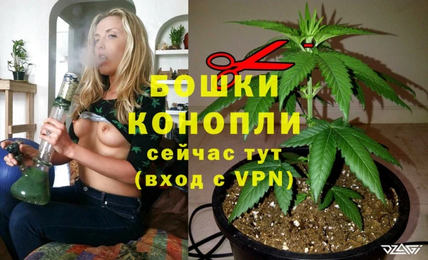 соль ск Липки